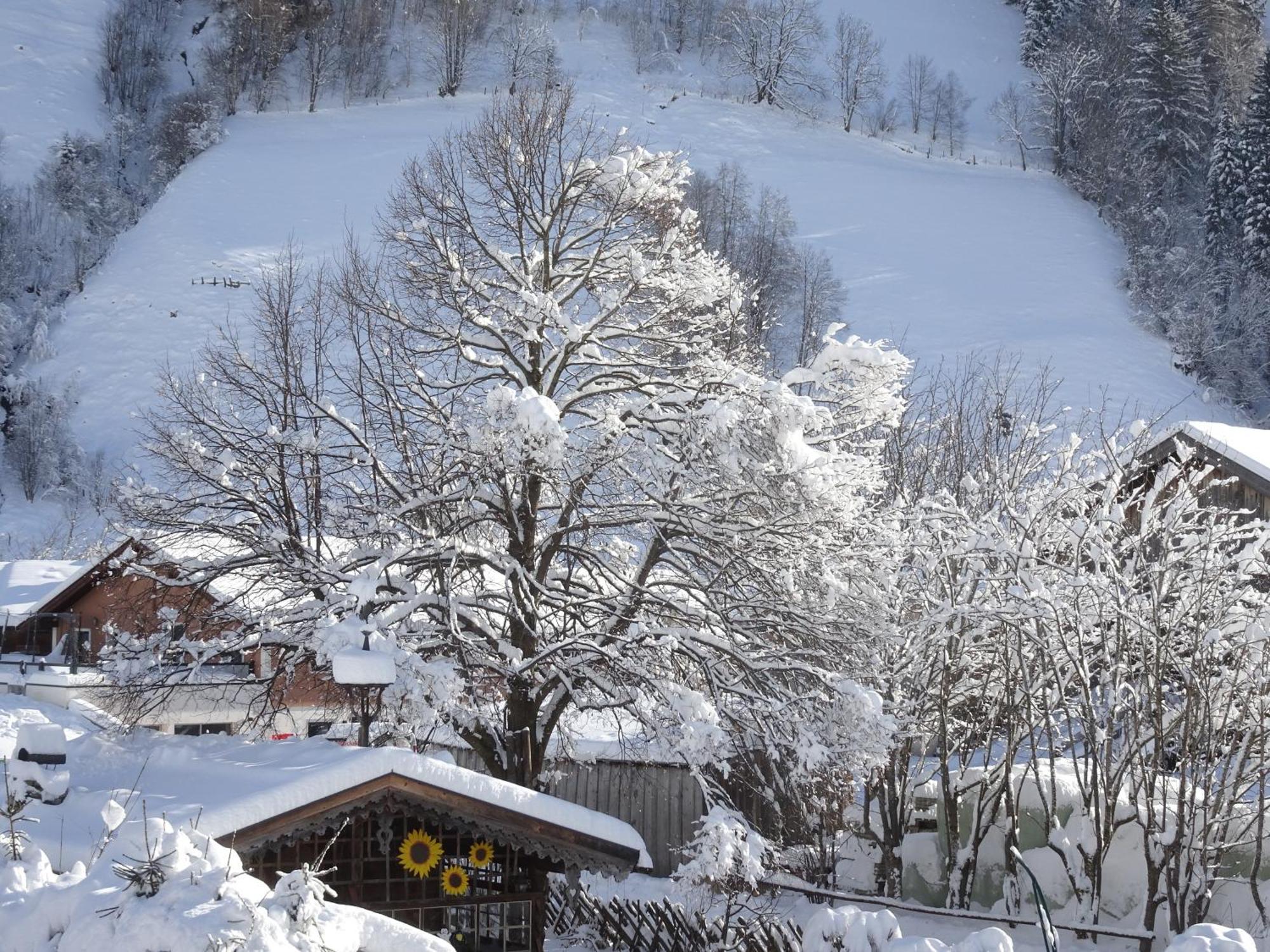 Apartment Gaestehaus Luggau Rauris Εξωτερικό φωτογραφία
